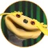 Avatar van Roy Derks