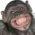Avatar van R hermans