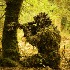 Avatar van Le Renard invisible