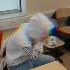 Avatar van CodenameHotKid